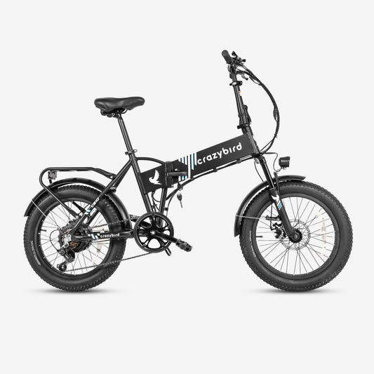 Crazybird CB10