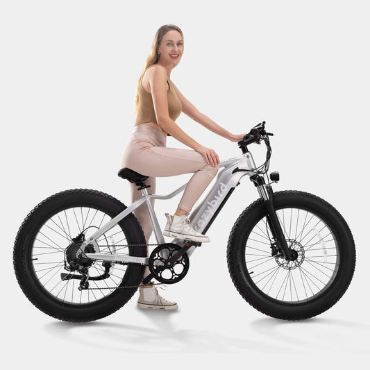 Crazybird CB60 E-Bike