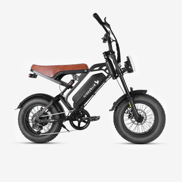 Crazybird CB4 Rower Elektryczny