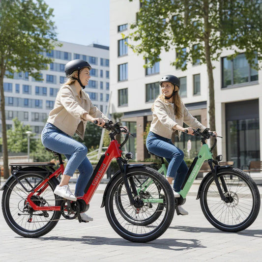 Crazybird Seta E-Bike